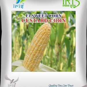 custard corn