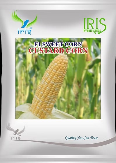 custard corn custard corn