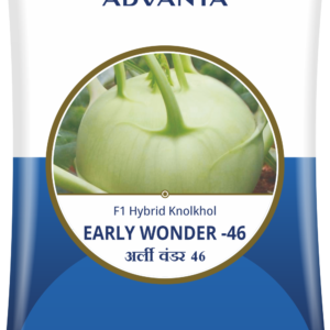early wonder 46
