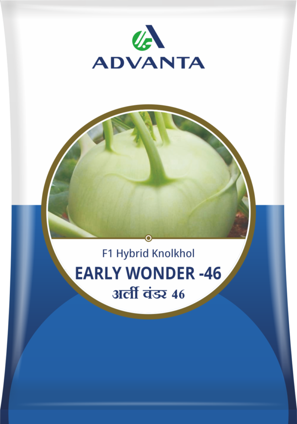 early wonder 46