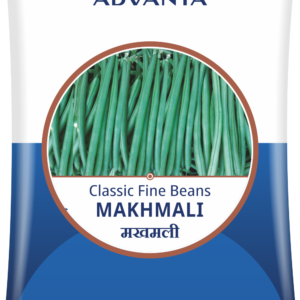 french beans makhmali