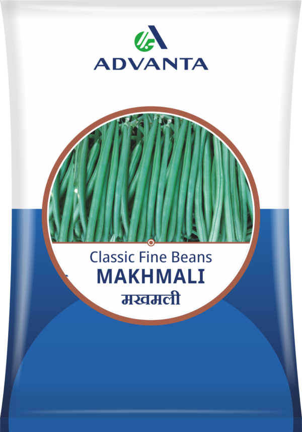 french beans makhmali