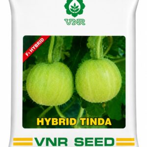 hybrid tinda
