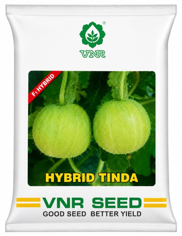 hybrid tinda