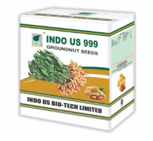 indo us 999 ground nut