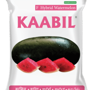 kaabil trimurti