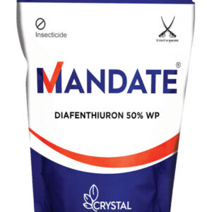 Mandate