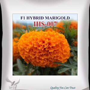 mariegold 007 copy 63 11zon