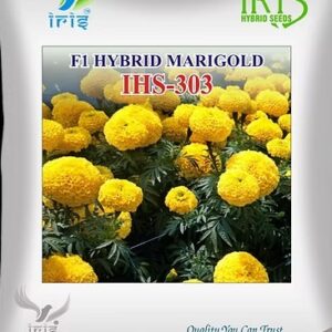 mariegold 303 copy 64 11zon