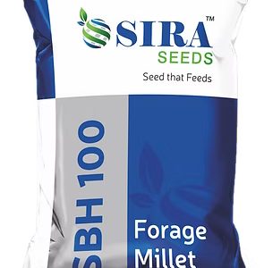 milet forage sbh 100