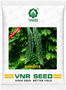 nandita vnr