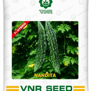 nandita vnr