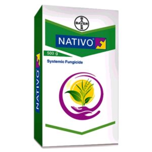 nativo
