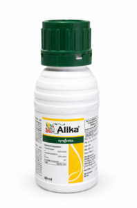 alika