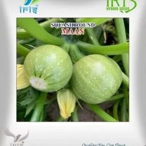 tinda