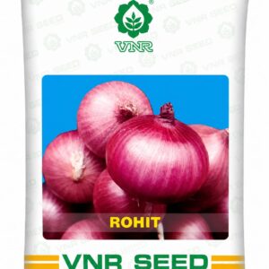 vnr (1)