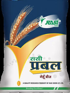 wheat rasi prabal