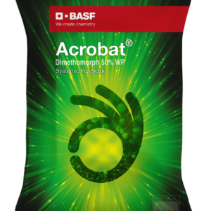 acrobat