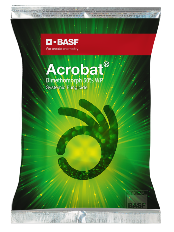 acrobat