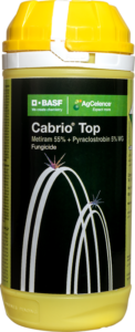 cabrio top
