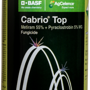 cabrio top