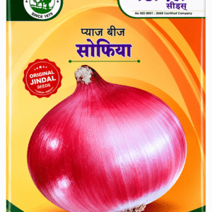 onion pune fursungi adv