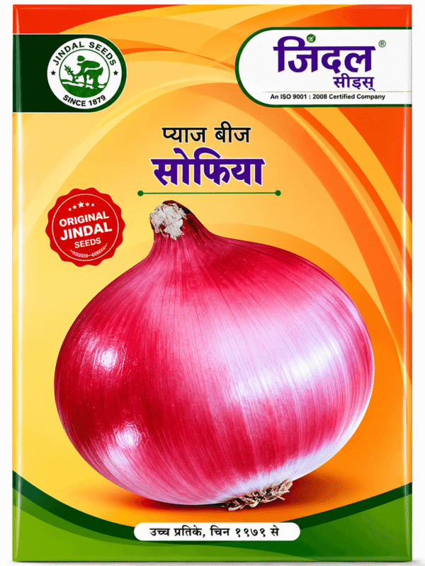 onion pune fursungi adv