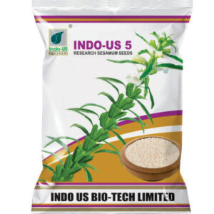 indo us 5 sesamum seeds