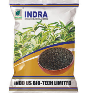 indo us indra black gram seeds