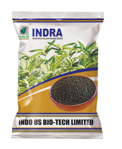indo us indra black gram seeds indo us indra black gram seeds