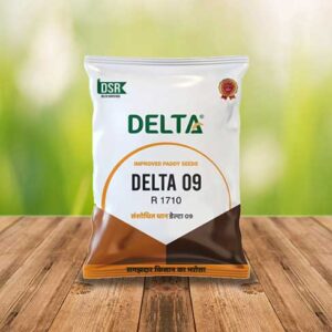 paddy delta 09