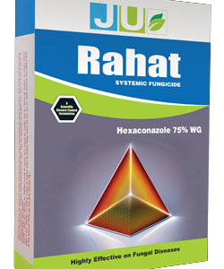 JU Rahat