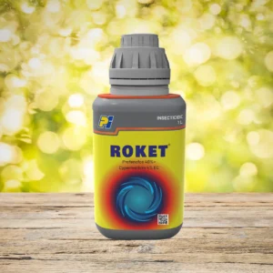 roket pi