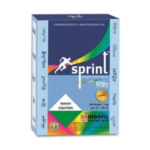 sprint