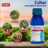 cultar