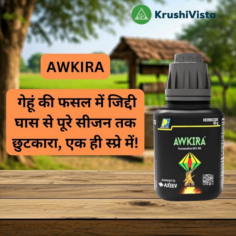 awkira awkira
