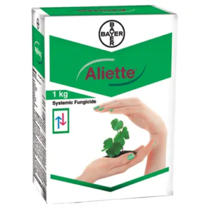 Bayer Aliette