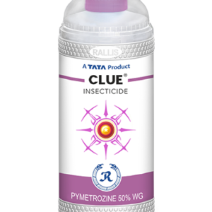 CLUE