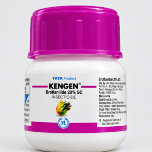 KENGEN