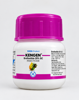 KENGEN