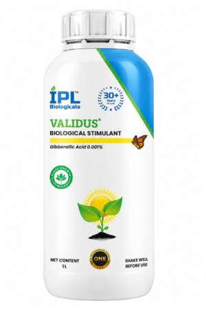 IPL Validus