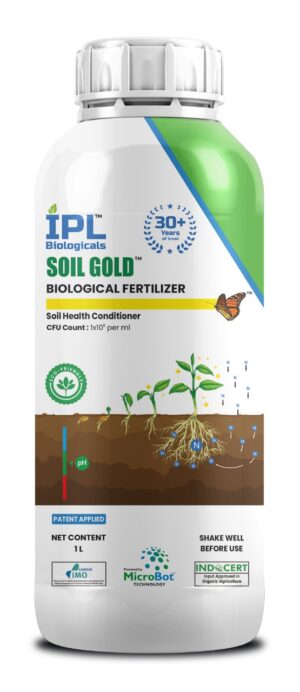IPL Soil Gold (L)